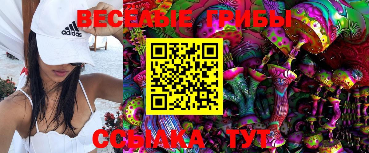 закладка  Галлюциногенные грибы Magic Shrooms  Вход с VPN  Кашира 